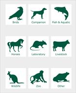 معرفی بیماریهای حیوانات - Introduction of Animal Diseases (به زبان انگلیسی)